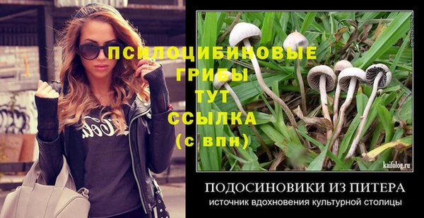 гашик Бородино