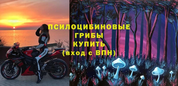 гашик Бородино