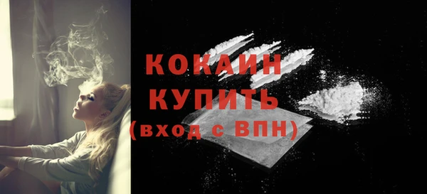 гашик Бородино