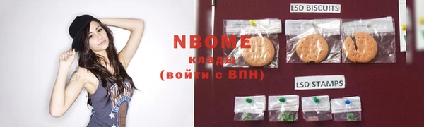 гашик Бородино