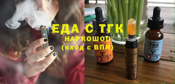 гашик Бородино