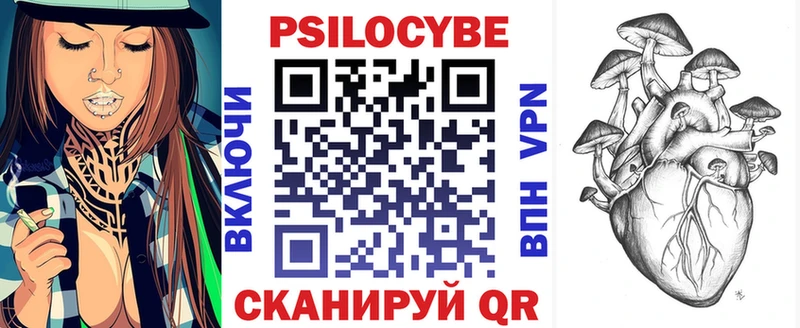 наркота  Зима  Галлюциногенные грибы мицелий 