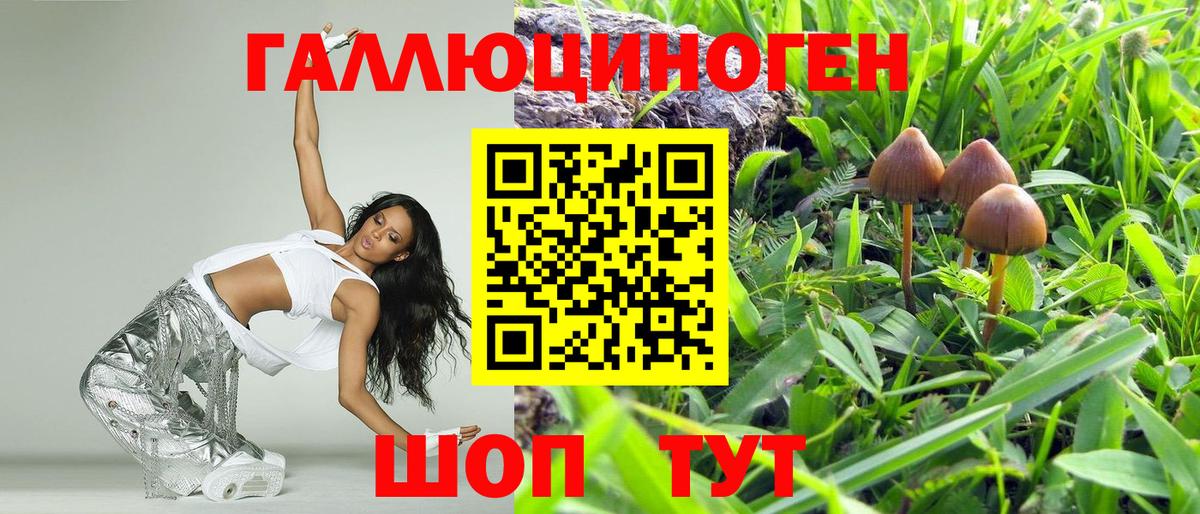 Зима  Псилоцибиновые грибы Psilocybe  Вход с VPN 