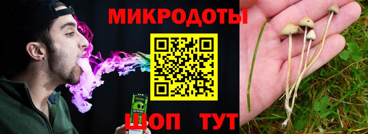Псилоцибиновые грибы GOLDEN TEACHER Зима